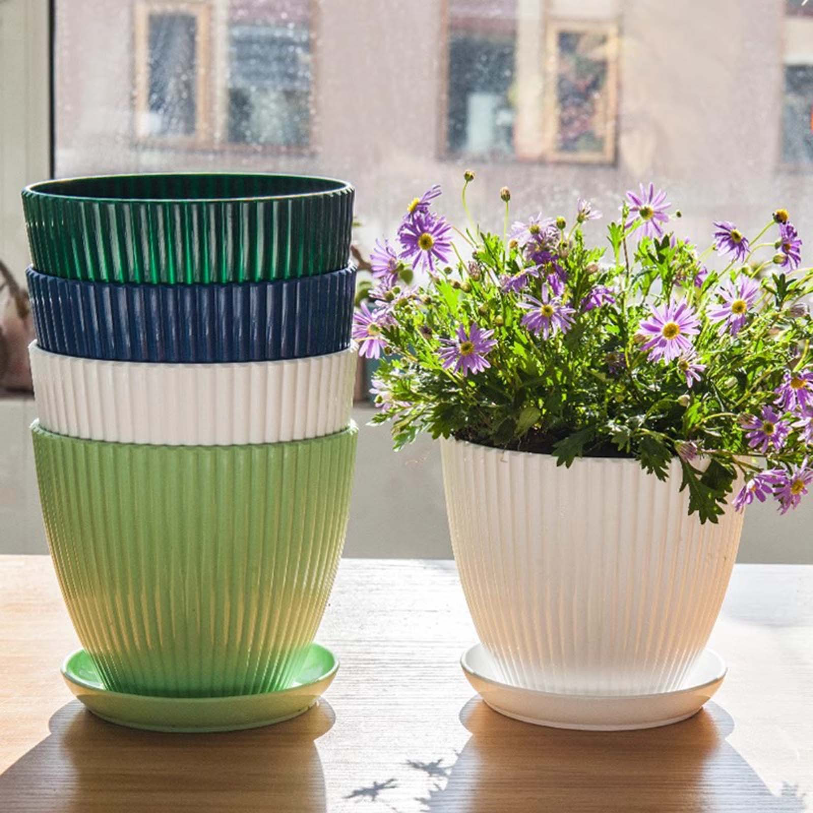 Pojemnik na rośliny z grubymi  – Desk Setup Plant recenzja i cena