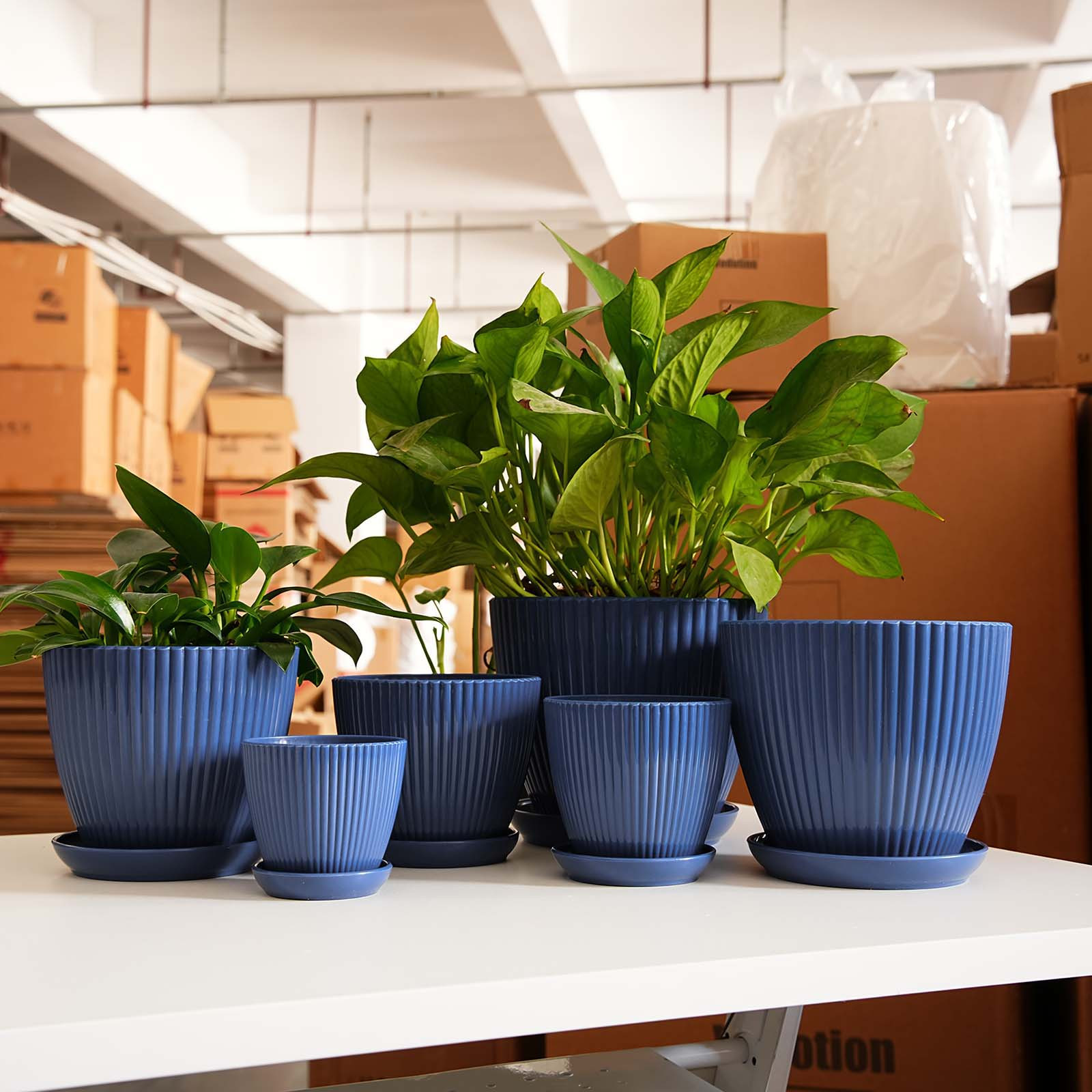 Pojemnik na rośliny z grubymi  – Desk Setup Plant recenzja i cena