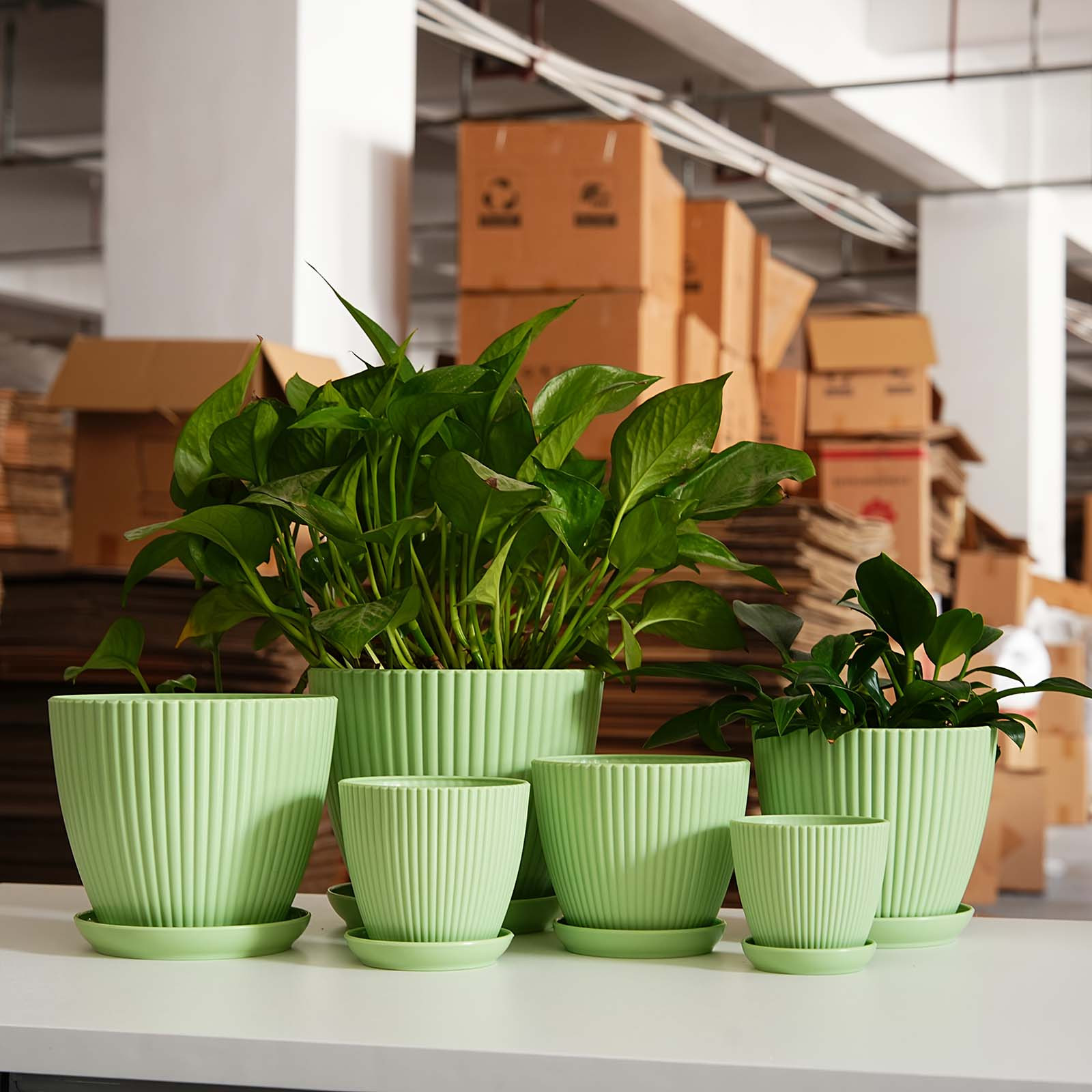Pojemnik na rośliny z grubymi  – Desk Setup Plant recenzja i cena
