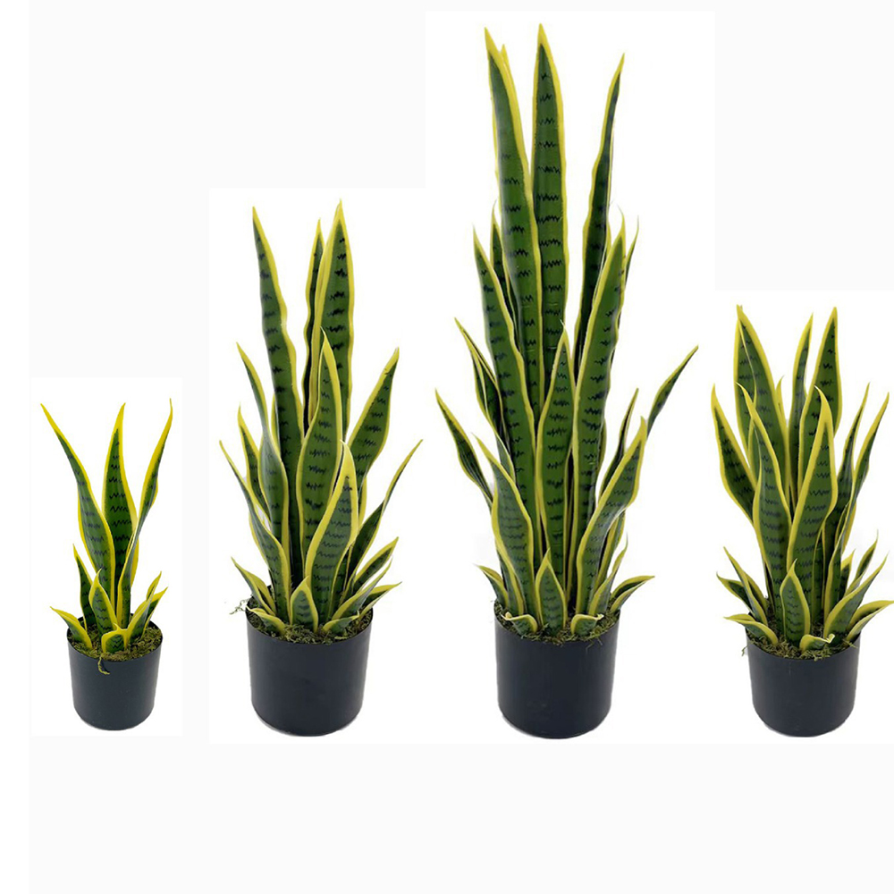Sztuczna Sansewieria (Wężowa)  – Desk Setup Plant recenzja i cena
