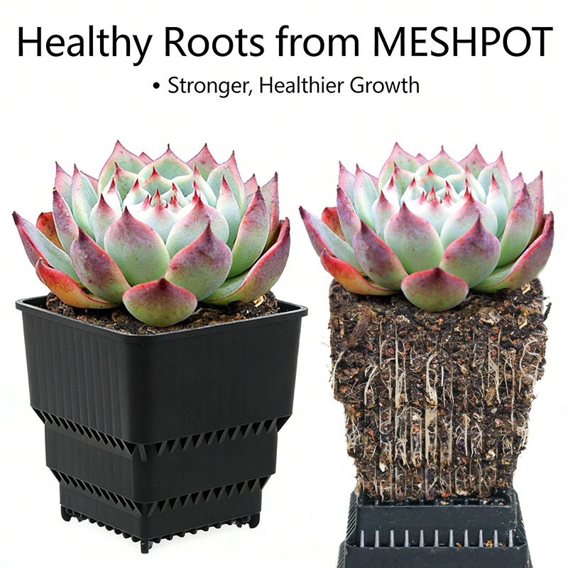 MESHPOT Zestaw 6 Kwadratowych  – Desk Setup Plant recenzja i cena
