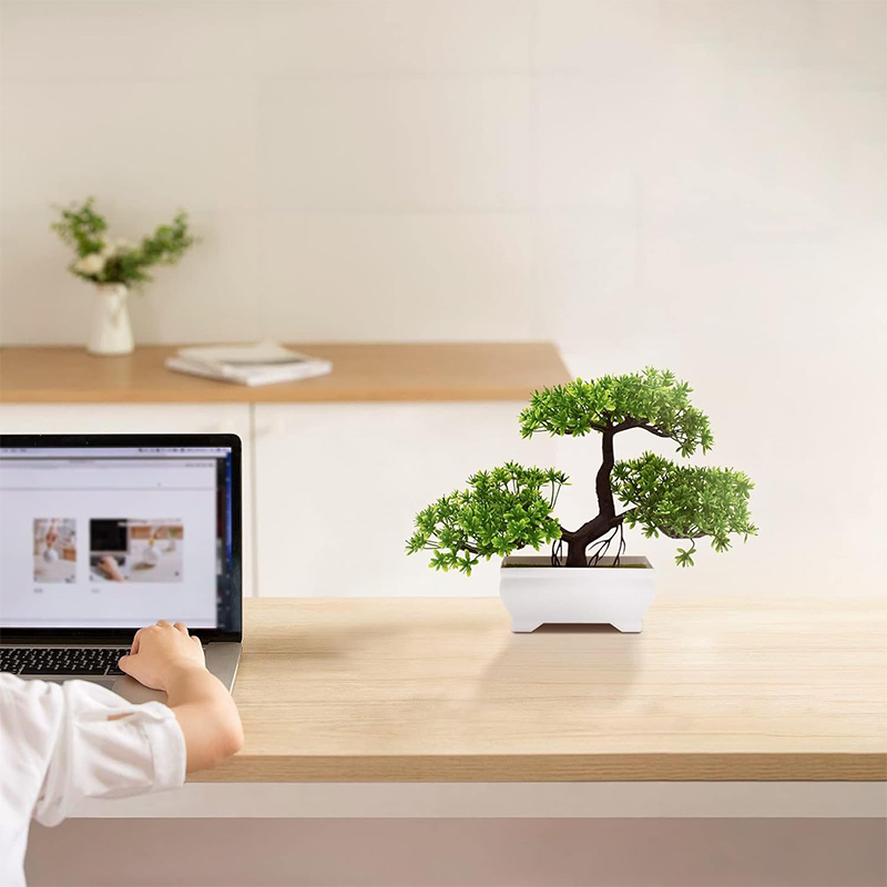 Sztuczne Bonsai Plastikowe Bio – Desk Setup Plant recenzja i cena